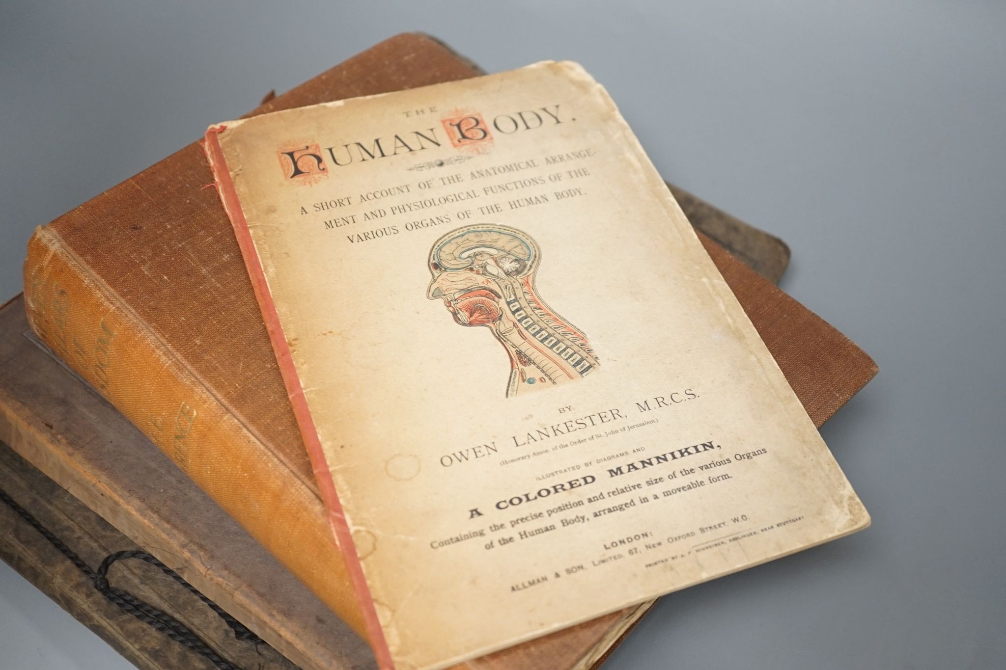 A coloured Mannikin Human Bodybook, Seven Pillars of Wisdom, Omarkhayam, 1930's International Horse & Hound Show and Venice, A Sketch Book by Fred Richards (5)